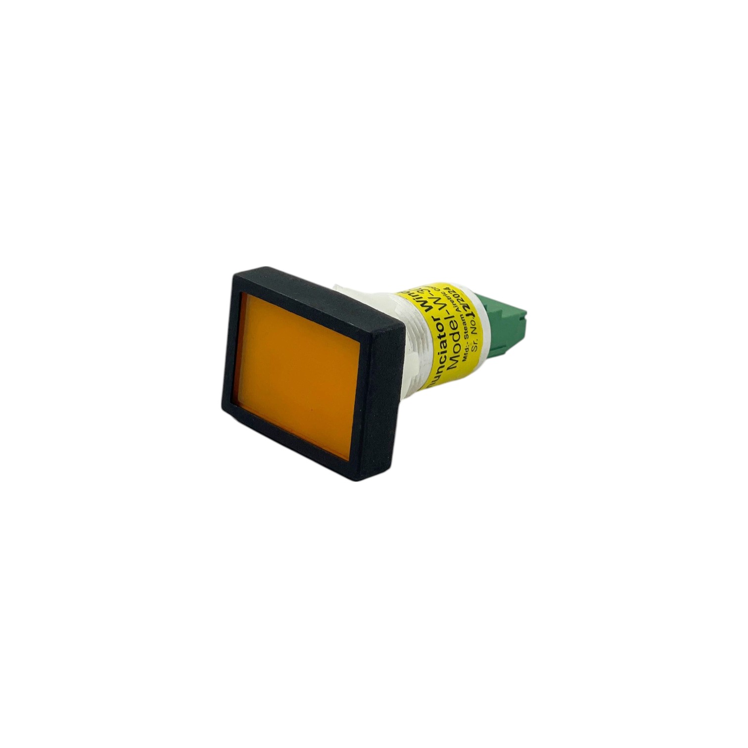 Annunciation Window 40x30